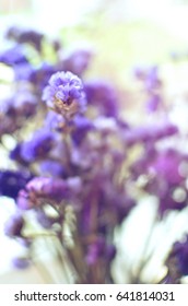 Defocus of beautiful flower Background,spring concept 