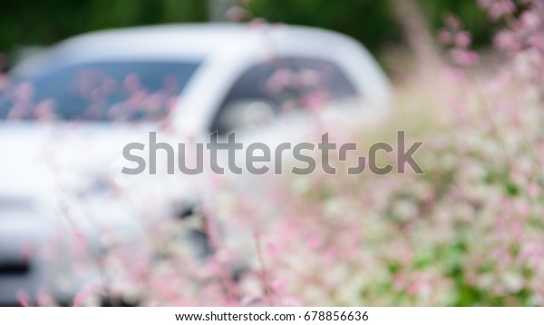de-focus car and pink\
flowers