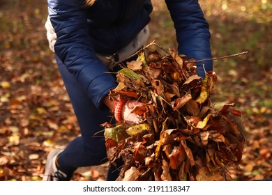 Defocus closeup female hand holding dry leaves. Child volunteer rakes and grabs a small pile of yellow fallen leaves in the autumn park. Cleaning the lawn from the old leaves. Kid work. Out of focus.