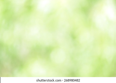 Defocus nature green bokeh, Defocused abstract nature background with green leaves and bokeh lights.