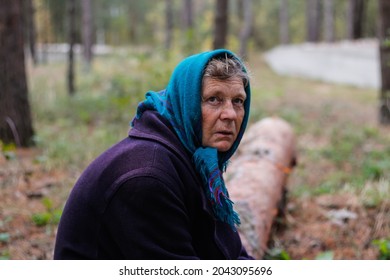 Defocus Portrait Of Russian Grandmother Senior Old Woman Seating On Log In Pine Autumn Forest. Old Women In Coat And Shawl. Sad Person. Nature Background. Out Of Focus.