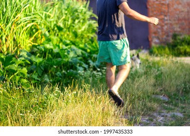 Defocus Young Man Walking With A Dog (siberian Laika Husky) In The Village, Countryside. Summertime, Side View. The Pet Drags The Owner. Blurred Bright Nature Background. Out Of Focus.