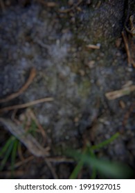 Defocused abstrack background of ground texture. 