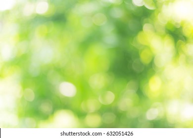 Defocused abstract  background