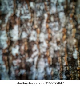 Defocused Abstract Background Of Albizia Chinensis Bark 