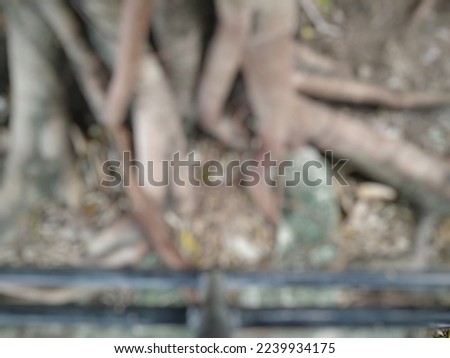 Similar – Foto Bild Weibliche Hände halten Feuerholz für das Lagerfeuer über dem Kohlenhintergrund.