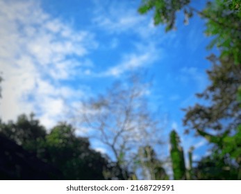 Defocused Abstract Background Of A Big Tall Tree That Died Dry Among The Green Trees.