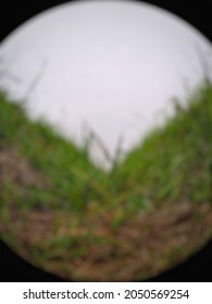 Defocused Abstract Background Of Grass With Fish Eye Camera