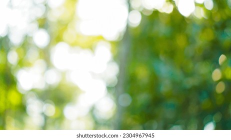 Defocused abstract background of green nature at autumn - Powered by Shutterstock