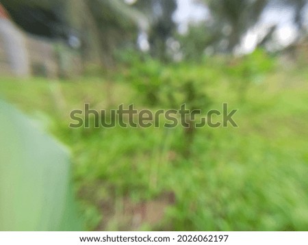 Defocused abstract background, a green open space.