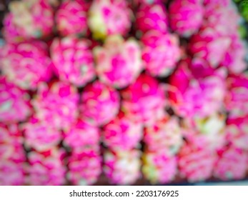 Defocused Abstract Background Of Large Group Of Dragon Fruit