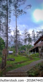 defocused abstract background of lodging in the forest surrounded by shady trees