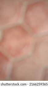 Defocused Abstract Background Of Muted Red Paving