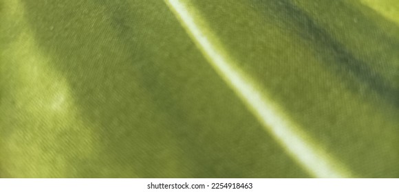Defocused of abstract background trand - Shutterstock ID 2254918463