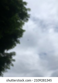 defocused abstract background of trees