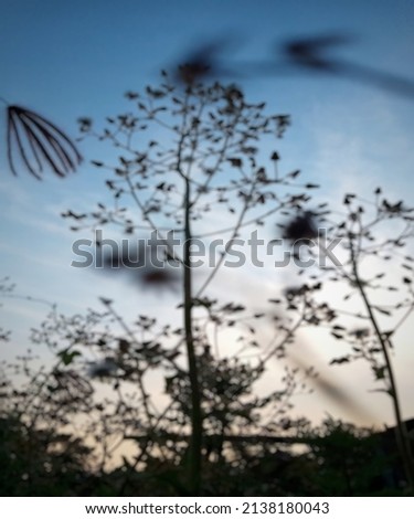 Similar – Image, Stock Photo in the evening…