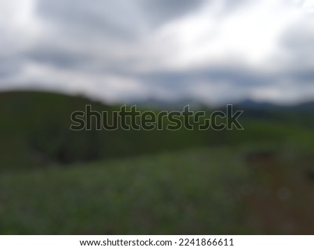 defocused abstract image of a stretched green tea garden. Indonesia, 2022.