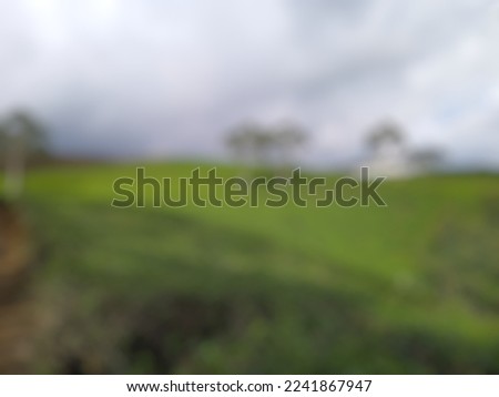 defocused abstract image of a stretched green tea garden. Indonesia, 2022.