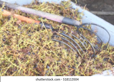 Defocused Background Of Agricultural Tools With Scraps Of Wine Grapes: Wine Production. Intentionally Blurred Post Production For Bokeh Effect.