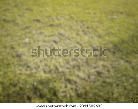 Similar – Image, Stock Photo Trouser legs 2.0