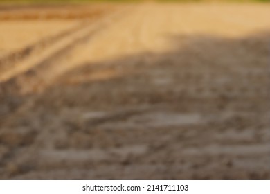 Defocused Background Photo Of Empty Farm Field With Natural Shadow And Sun Light