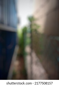 Defocused Background Of Small Alley Way With A Hedge Covered With Weeds.