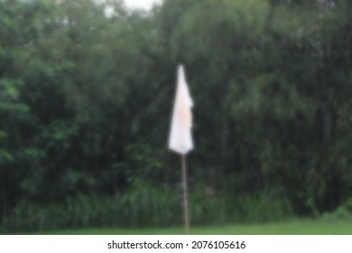 Defocused Background Of White Bird Repellent Stick