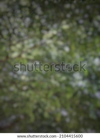 defocused and blurred abctract background
