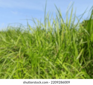 Defocused Or Blurry Landscape Background Photo