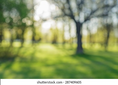 defocused bokeh background of apple garden with blossoming trees  in sunny day, backdrop