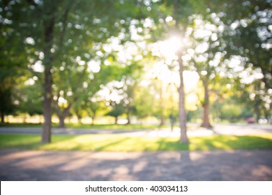 defocused bokeh background of garden with blossoming trees in sunny day, backdrop, summer time