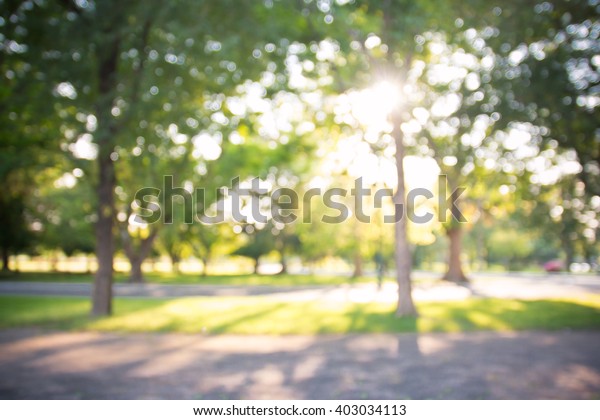 离焦散景背景花园与开花的树木在阳光灿烂的日子 背景 夏季时间库存照片 立即编辑