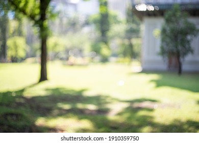 Defocused Bokeh Background Of Garden Trees 