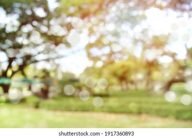 Defocused Bokeh Background Of  Garden Trees In Sunny Day