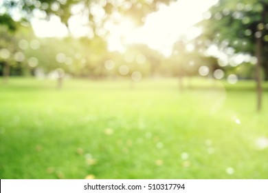 defocused bokeh background of  garden trees in sunny day - Shutterstock ID 510317794