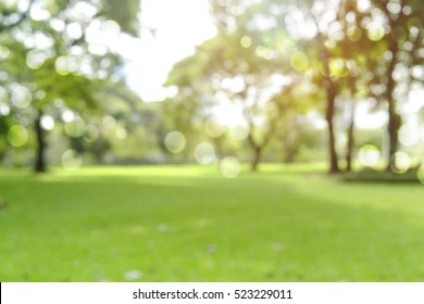 defocused bokeh background of  garden trees in sunny day