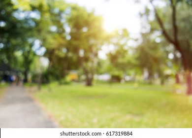 Defocused Bokeh Background Of Garden Trees In Sunny Day