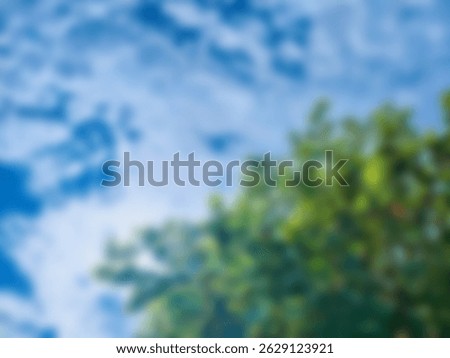 Defocused bokeh background of tree canopy with cloudy sky. Abstract blurred of ketapang tree leaves (Terminalia catappa)