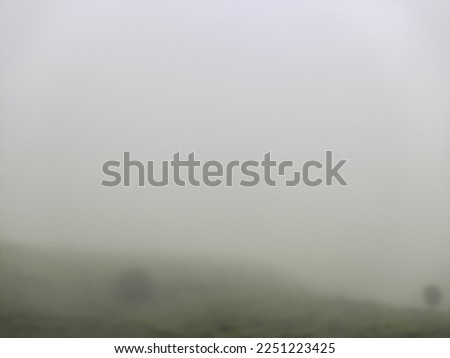 Image, Stock Photo Misty November Environment