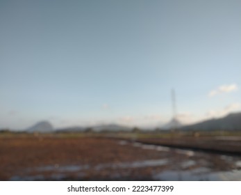 Defocused Object From Brown Rice Field