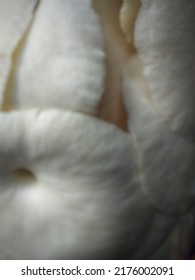 Defocused Object Of White Oyster Mushroom 