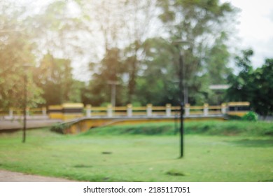 Defocused Park Outdoor Blurry Background. 