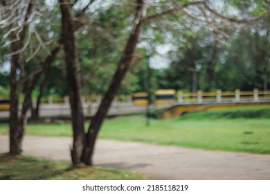 Defocused Park Outdoor Blurry Background. 