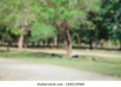 Defocused Park Outdoor Blurry Background. 