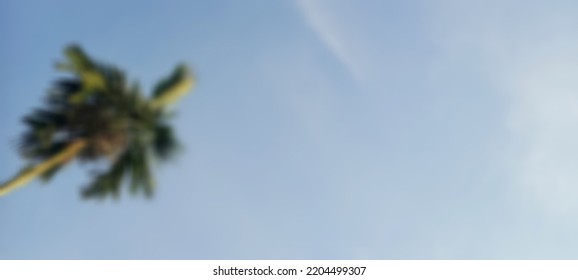 Defocused Photo Background Blur Of Areca Nut