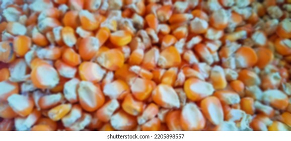 Defocused Photo Background Blur Of Corn