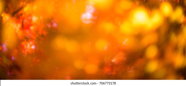 entfochtene rote Blätter, perfekter Herbsthintergrund