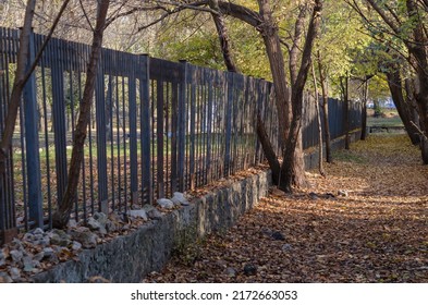 A Defocused Shot Of An Empty Autumn Park. A Metal Fence Along A Path Covered With Fallen Leaves. Daytime. Selective Focus. No People.