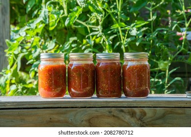 A defocused tomato plant is used for the background setting to display the freshly canned salsa. The jars sit in a row on a wooden bench making a nice rustic photograph. 