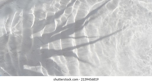 Defocused transparent clear calm water surface with splash, bubbles and shadow of a plant. Trendy abstract nature background with copy space. - Shutterstock ID 2139456819